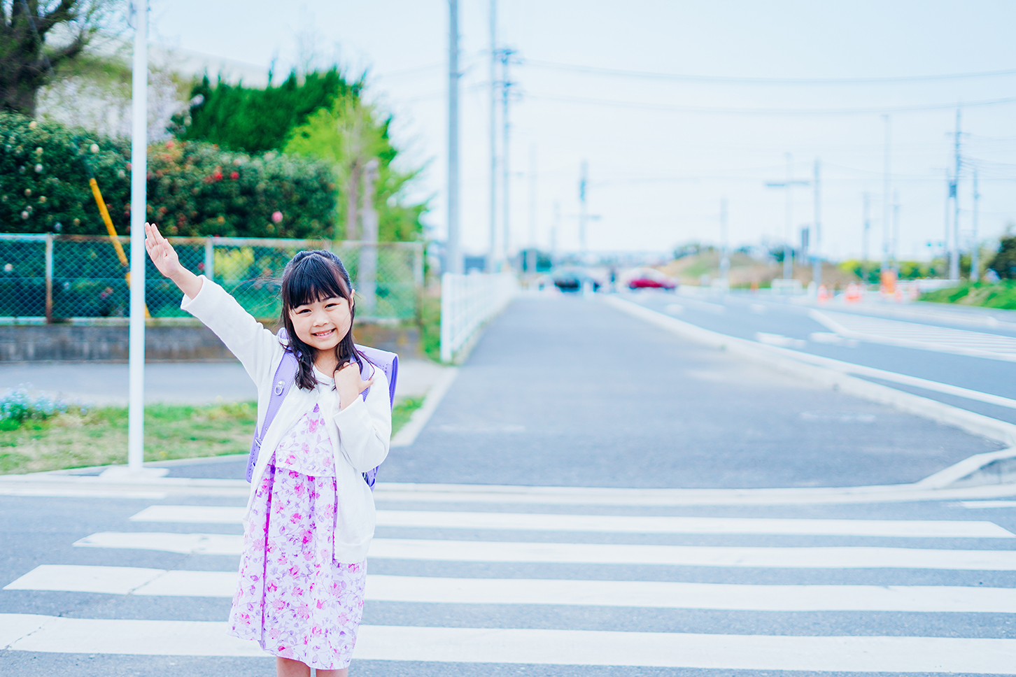 （画像：(c) meow_creation - stock.adobe.com）