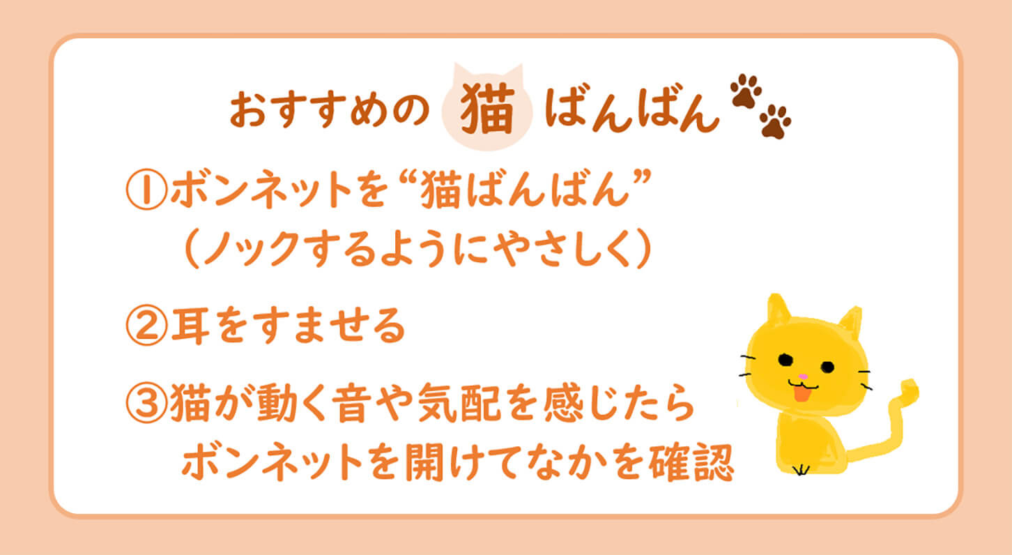 2021年にJAF公式SNSで投稿したおすすめの「猫ばんばん」 。ボンネットを叩くだけでなく、反応した音がしないか耳をすまそう。
