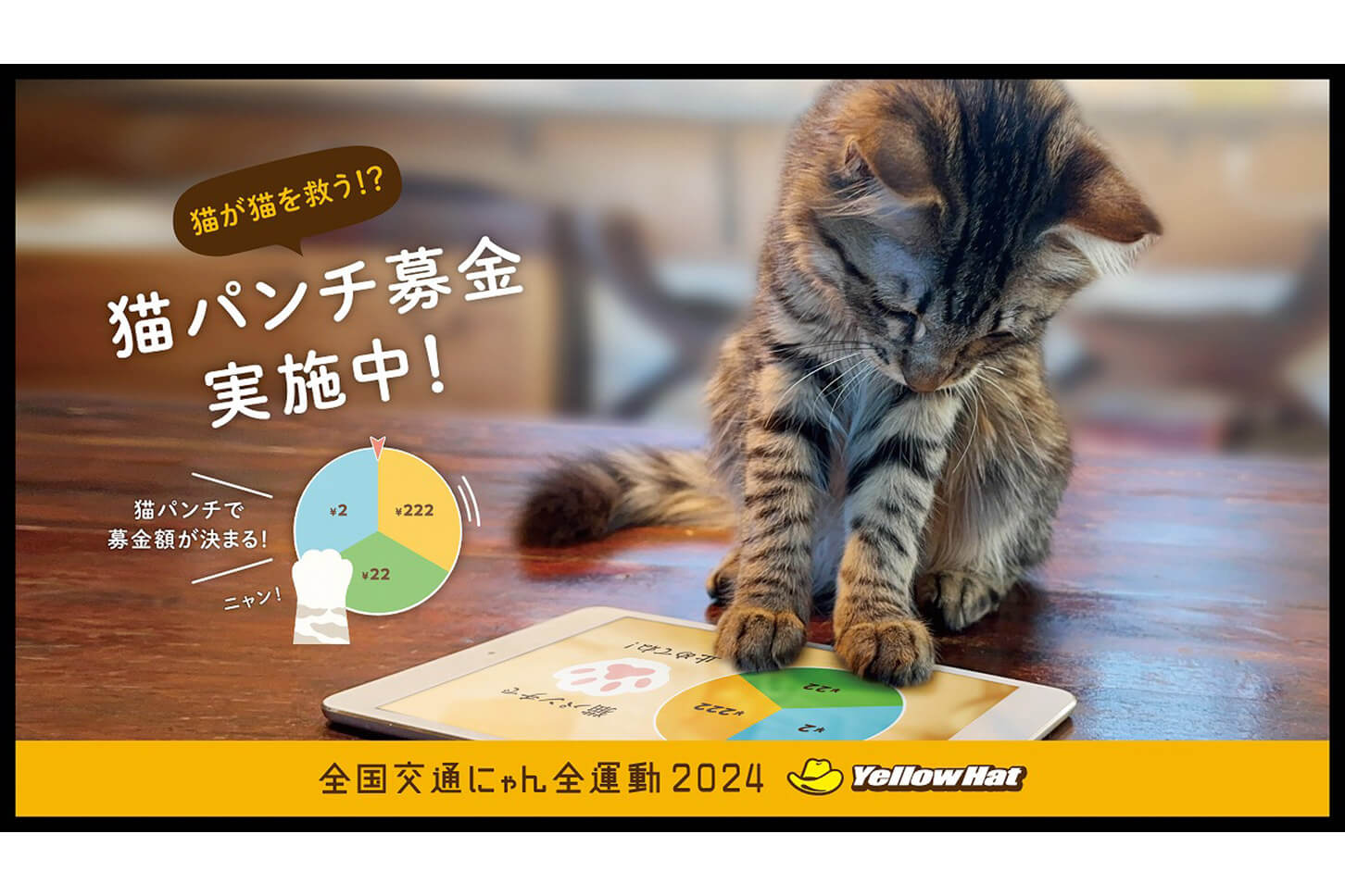 猫パンチで募金額が決まる！ 猫パンチ募金実施中！