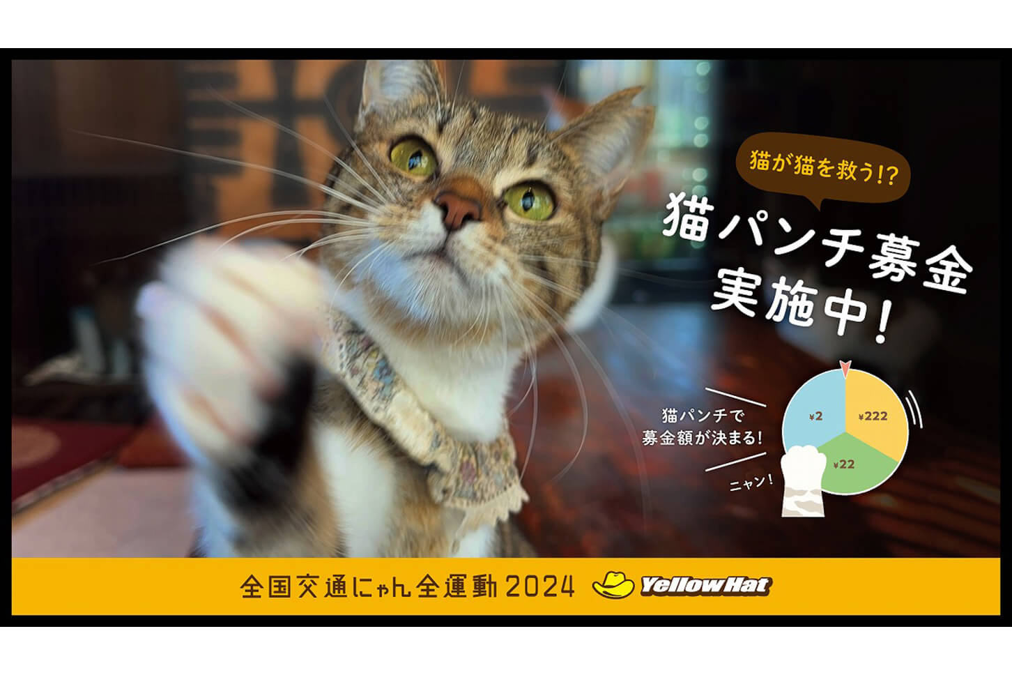 全国交通にゃん全運動2024実施中！