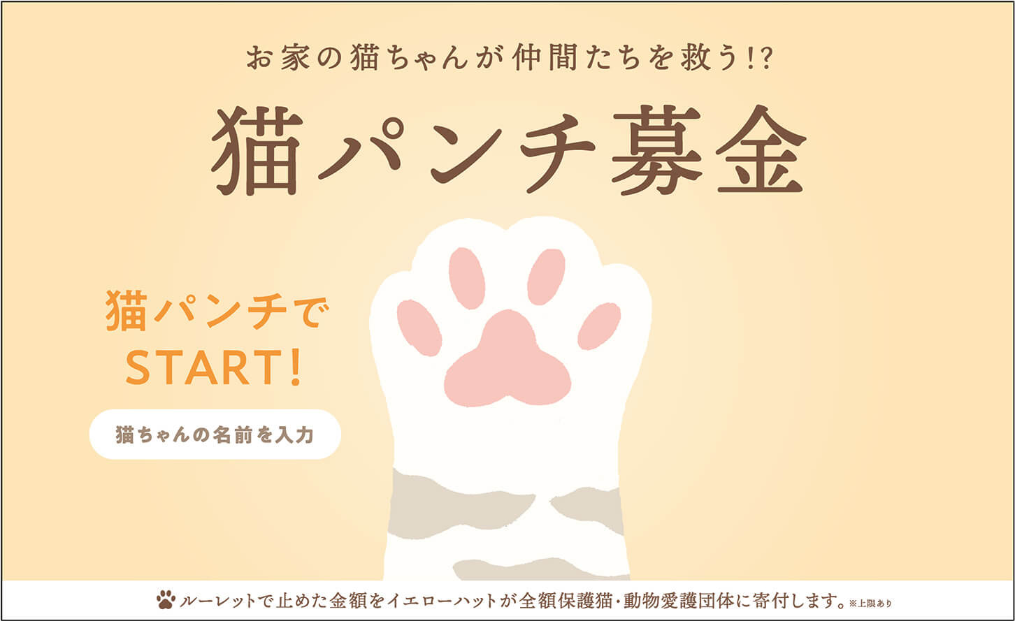 猫パンチ募金 ステップ1：猫ちゃんの名前を入力