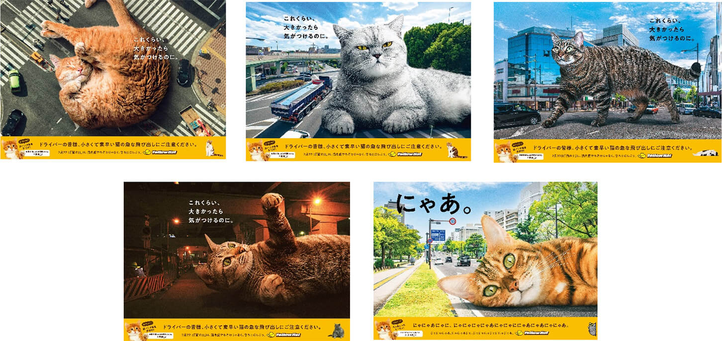 「これくらい、大きくなれたらいいのに。」のキャッチコピーが猫たちの気持ちを代弁する5種類のポスターを、2024年2月19日（月）から2月25日（日）まで、JR東京駅の南通路に掲出