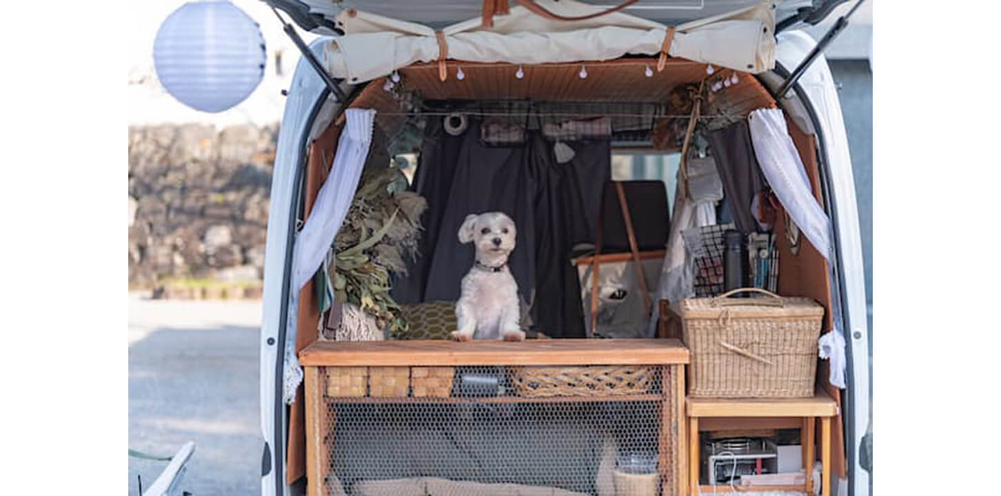 愛犬と車中泊を楽しもう！